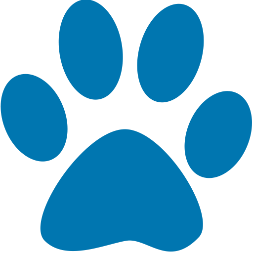 4 Paws Country Dog Boarding