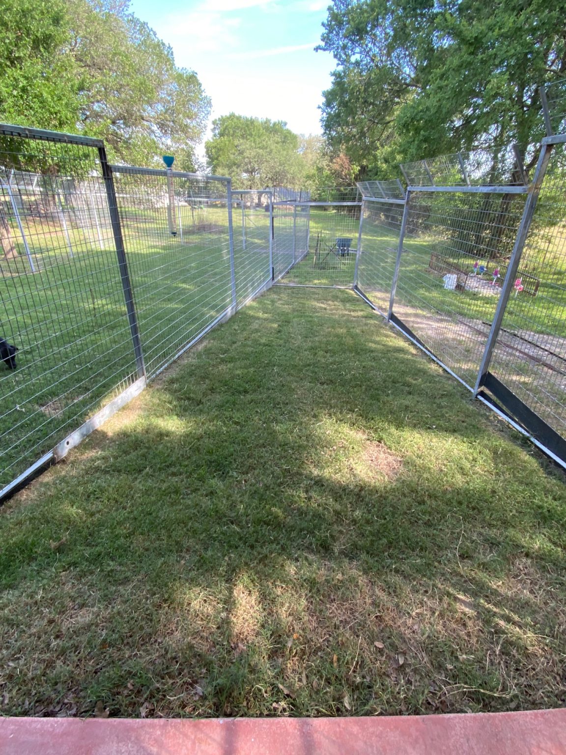 Kennel Tour 4 Paws Country Dog Boarding